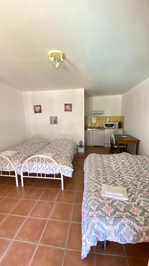 Appartements " Le Clos De La Cerisaie" Castillon-du-Gard Eksteriør billede